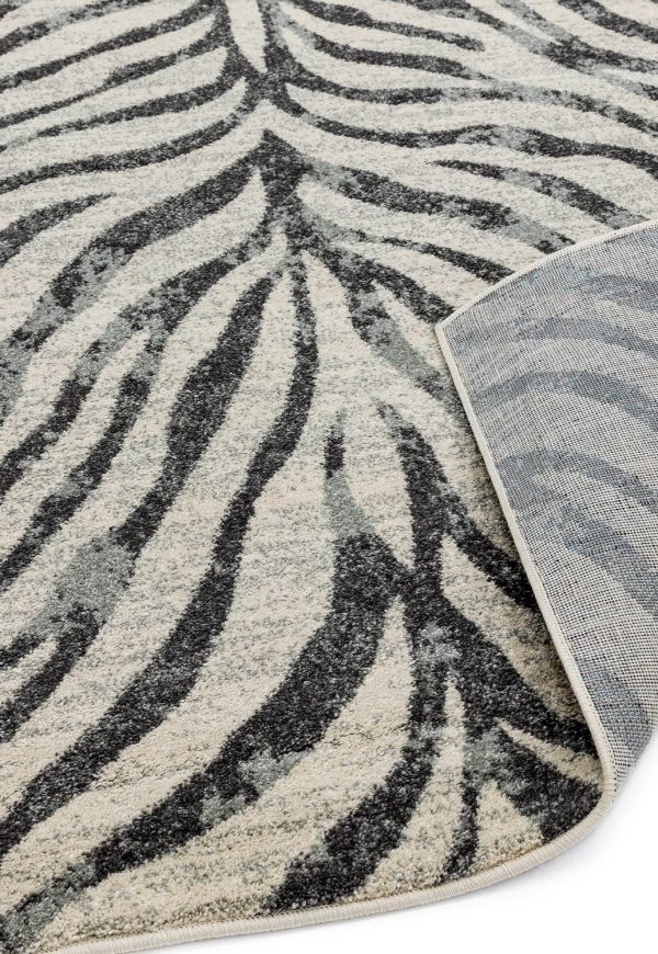 Carpete Nova nv27 Zebra Grey - Image 4